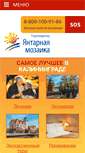 Mobile Screenshot of ambertour.ru